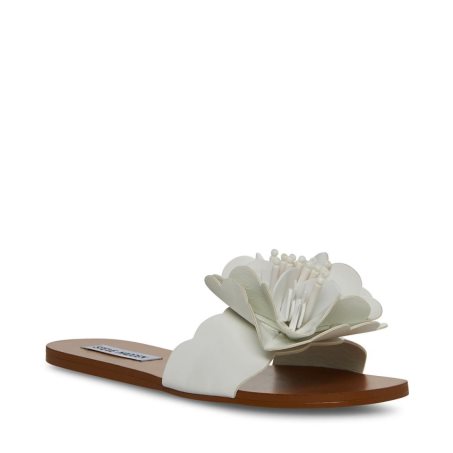 Sandalias Planas Steve Madden Chelsea Mujer Blancas | ES BCE218